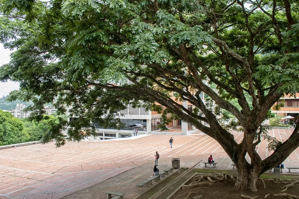 Cartas de presentación