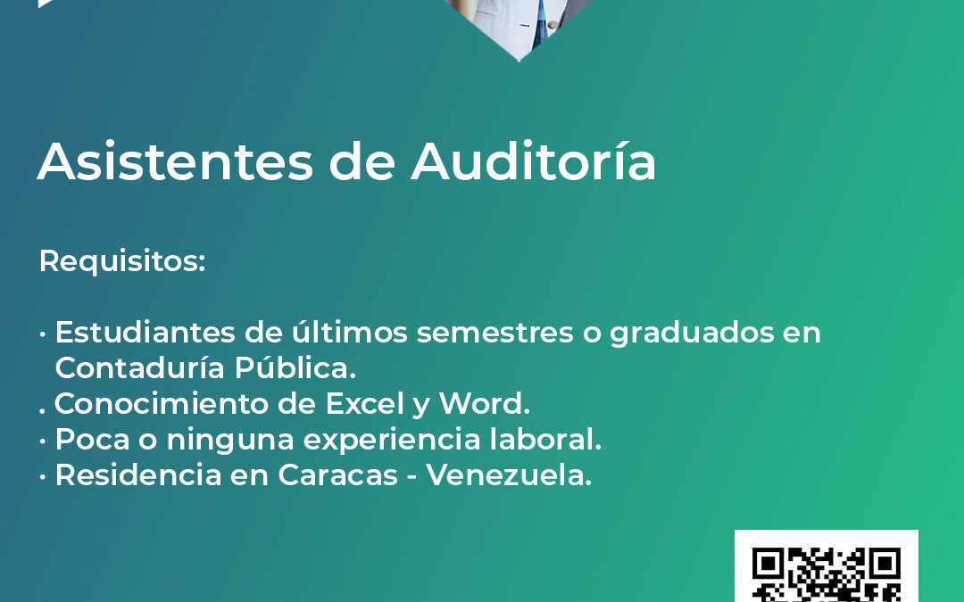 Asistentes de Auditoría