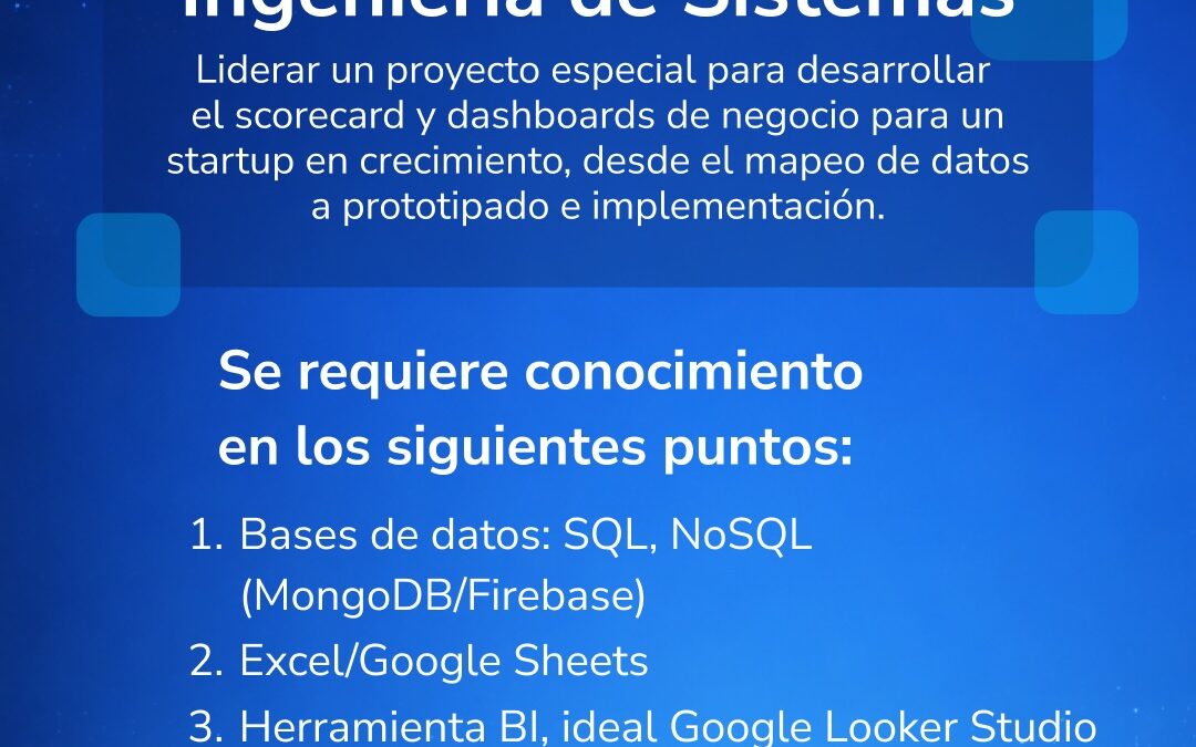 Pasantia Pagada para Desarrollo Dashboard de negocio