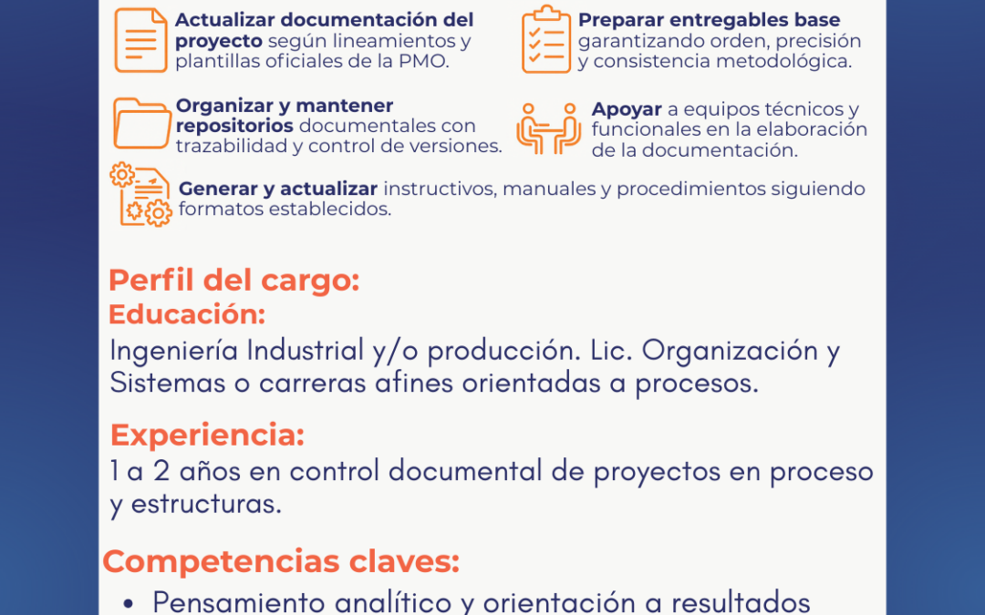 Analista Documentador de Metodología y Proyecto SAP Jr.