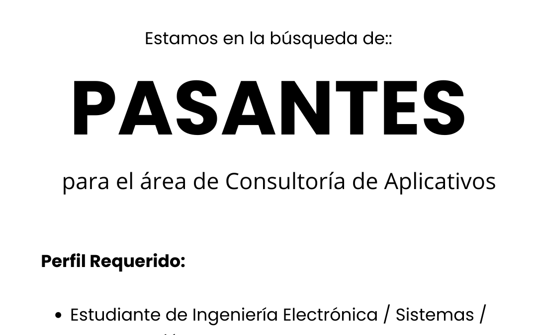 Pasante Analista/Programador