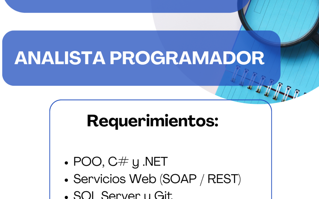 Analista Programador Junior