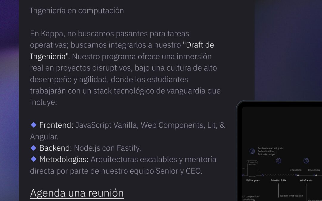 Software Developer