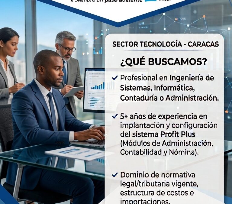 Consultor Funcional Profit Plus