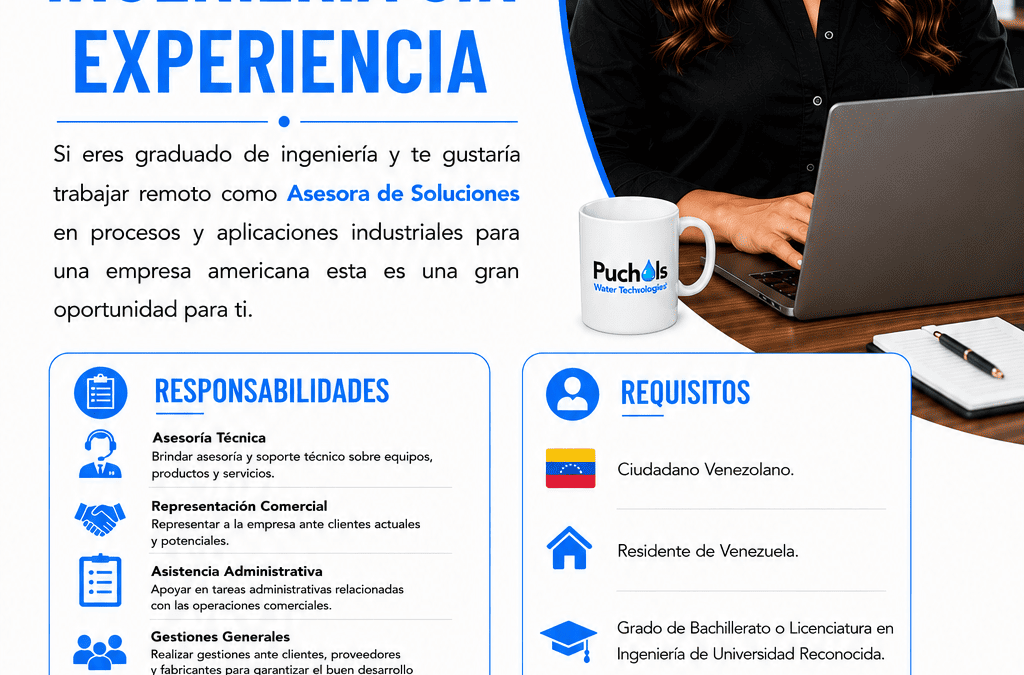 Asesor de Soluciones