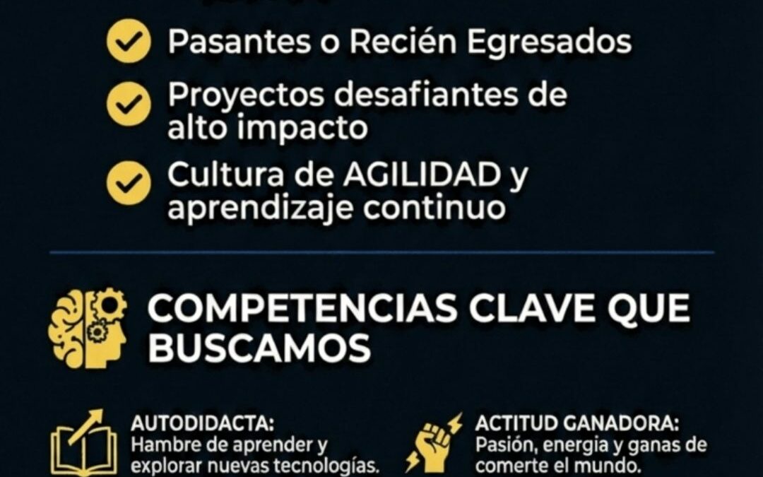 Desarrollador plataformas digitales IA