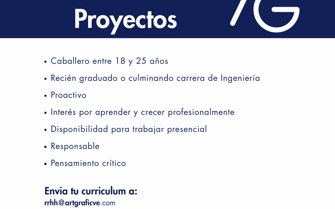 Analista de Proyectos